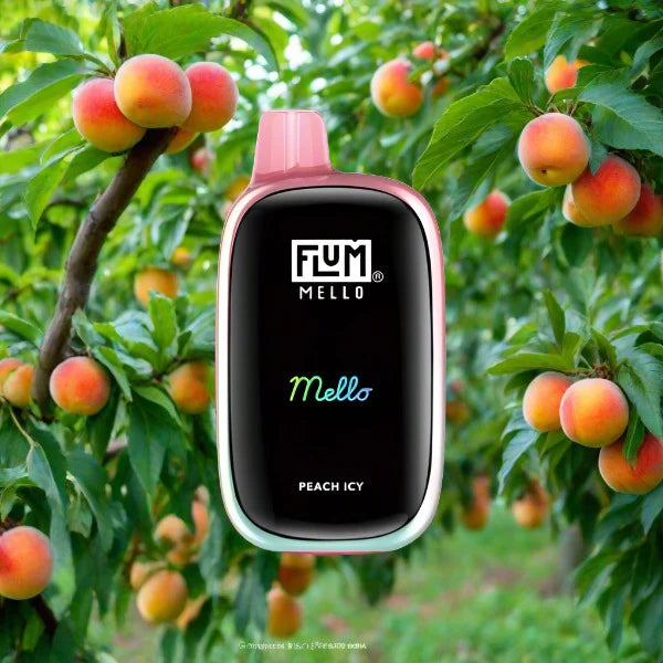 FLUM MELLO Rechargeable Disposable [20,000]